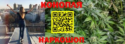 СК Лесосибирск