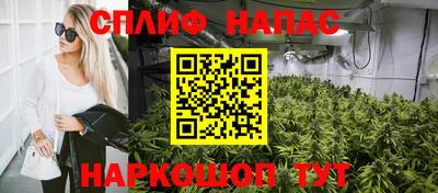 Альфа ПВП Малгобек