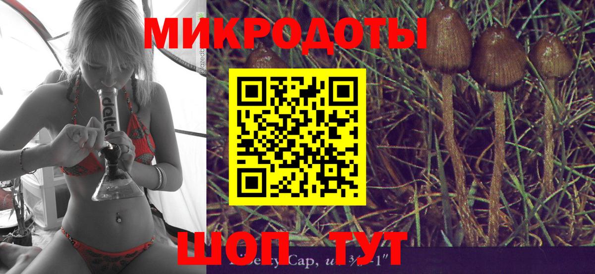 Великий Устюг  Псилоцибиновые грибы мухоморы  Вход с VPN 